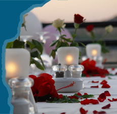 Click here to Contact your personal wedding planner